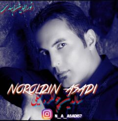 دانلود آهنگ نورالدین اسدی سالدین چوللره لیلی